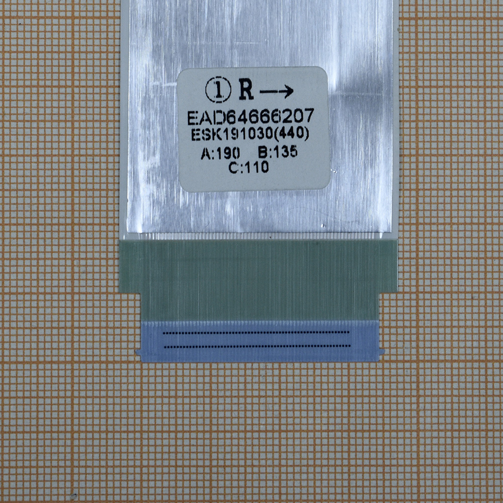  EAD64666207